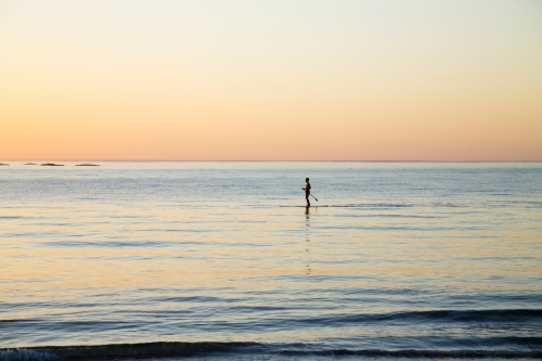 single paddle boarder at dawn - Australian Stock Image