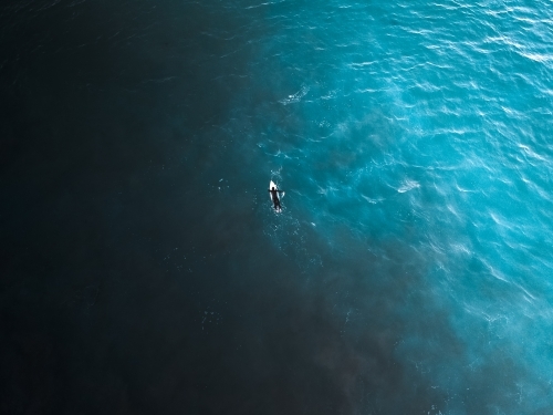 Single surfer paddling in the ocean