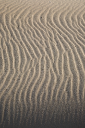 Sinuous ripples on sand - Australian Stock Image