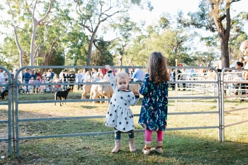 Sisters watching sheepdog demonstration - Australian Stock Image