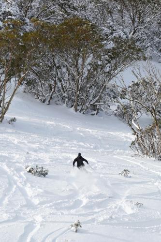 Skier going down hill