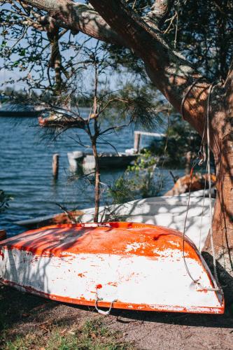Small boat under trees on the bank of a river - Australian Stock Image