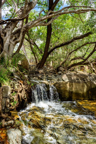Small freshwater waterfall cascading over rocky ledges beneath twisting native trees - Australian Stock Image
