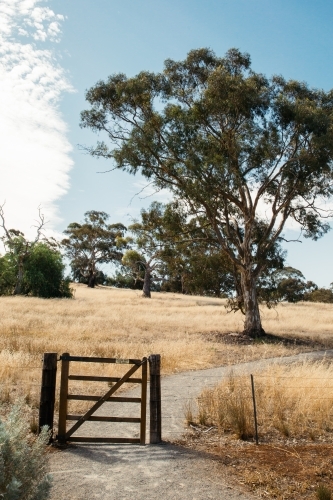 Small gate on footpath through farm - Australian Stock Image