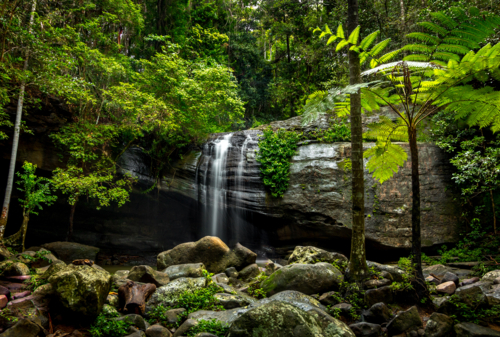 Small waterfall amongst rainforest plants and surrounded by rocks and boulders - Australian Stock Image