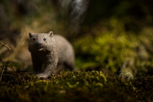 Small wombat figurine on forest floor