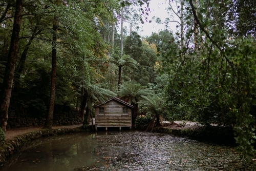 Small wooden house by the lake surrounded with trees - Australian Stock Image
