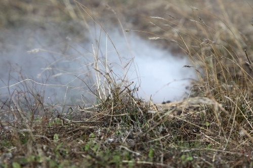 Smoking a rabbit burrow - Australian Stock Image