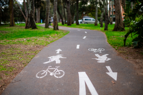 Smooth footpath divides bike and pedestrian lanes, surrounded by trees in a peaceful park. - Australian Stock Image