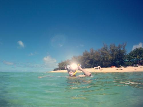 Snorkelling boy - Australian Stock Image