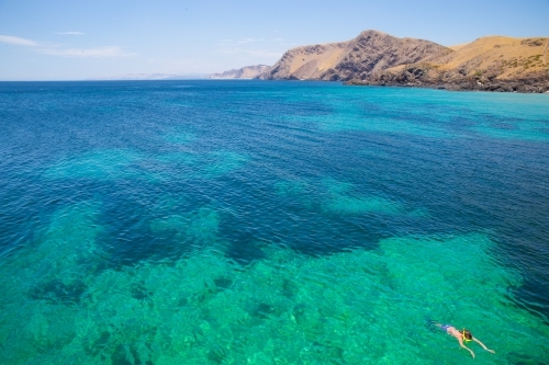 Snorkelling in paradise at Second Valley, Fleurieu Peninsula, South Australia - Australian Stock Image