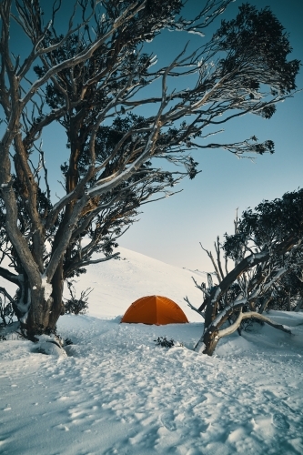 Snow camping in the Australian Backcountry in Winter