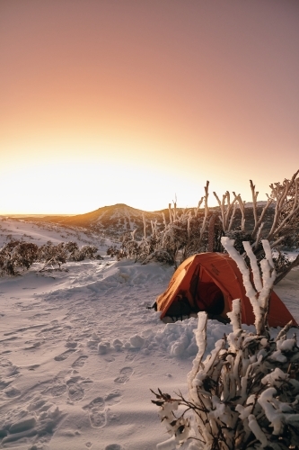 Snow camping in the backcountry at sunrise in winter