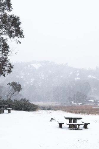 Snow covered picnic table - Australian Stock Image
