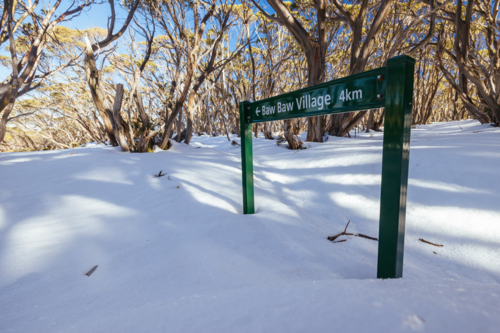Snow landscape amongst surrounding snow gum trees on a warm clear winter's day at Mt St Phillack - Australian Stock Image