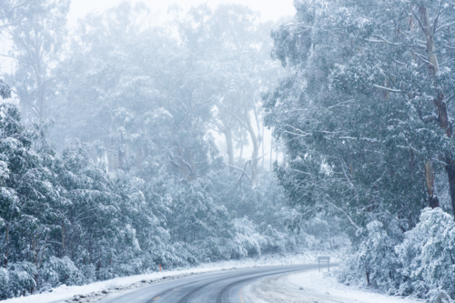 Snowy, foggy road at Mt Hotham - Australian Stock Image