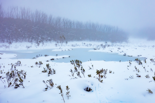 Snowy mountain landscape on a cold winter's day at Lake Mountain - Australian Stock Image