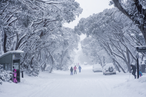 Snowy road and trees with people skiing - Australian Stock Image