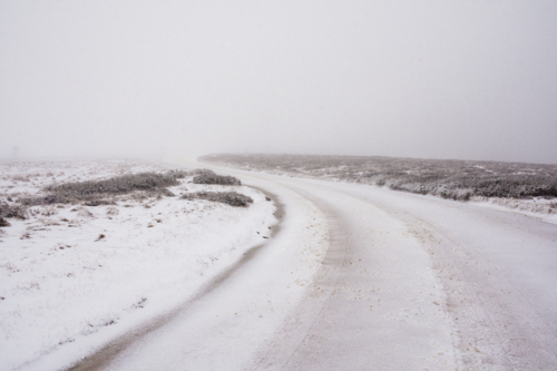 Snowy track in the mist with low scrub - Australian Stock Image