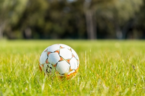 Soccer ball in grass - Australian Stock Image