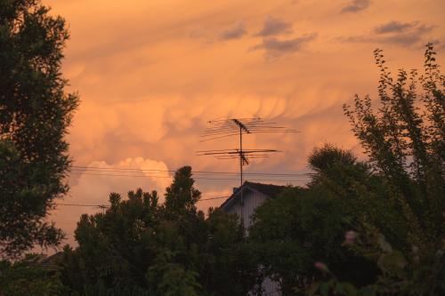 Soft clouds at sunset behind a house, antenna and trees