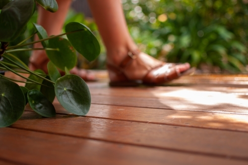 Soft focus on woman's feet walking on decking, focus on plant in foreground