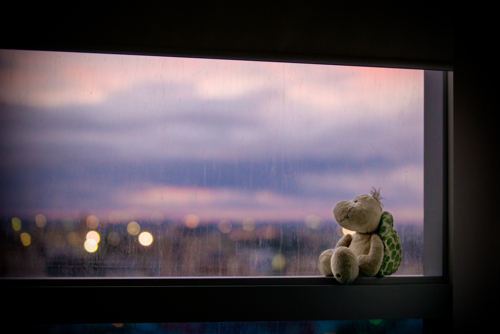 Soft toy turtle sits on a window ledge, gazing at the pastel evening skyline. - Australian Stock Image