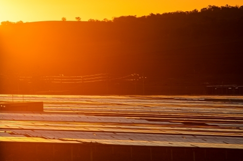 Solar farm panels reflecting the sunset colours - Australian Stock Image