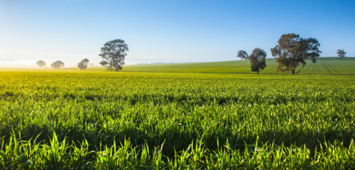South Australian Rural Landscape - Australian Stock Image