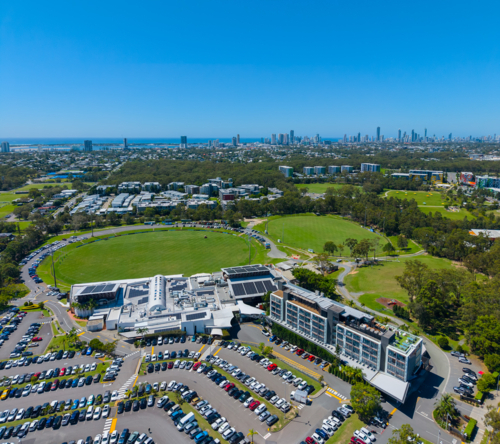 Southport Sharks in Southport, Gold Coast, Queensland, Australia - Australian Stock Image