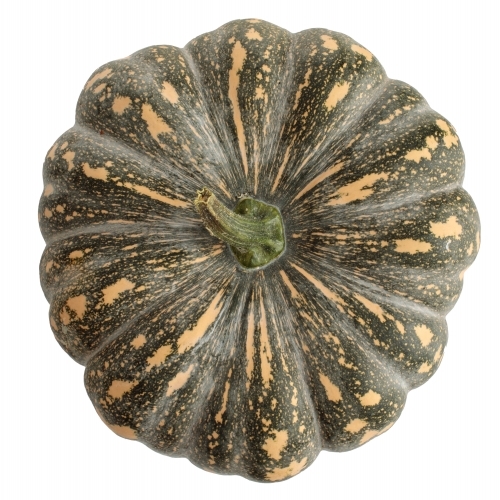Speckled pumpkin on white background