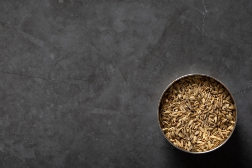 Spice tin of fennel seeds on dark background - Australian Stock Image