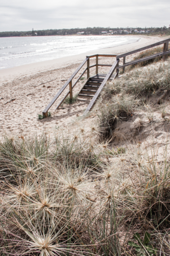 Spinifex on beach with steps in the background - Australian Stock Image