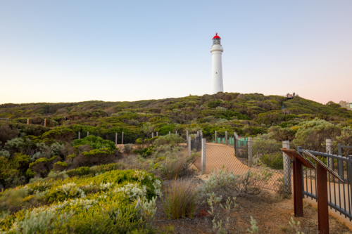 Split Point Lighthouse at dusk on a warm summer's evening in Aireys Inlet, Victoria, Australia - Australian Stock Image