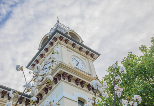 Spring blooms framing an old country post office underneath cloudy skies - Australian Stock Image
