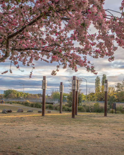Spring blossoms framing a country sculpture - Australian Stock Image