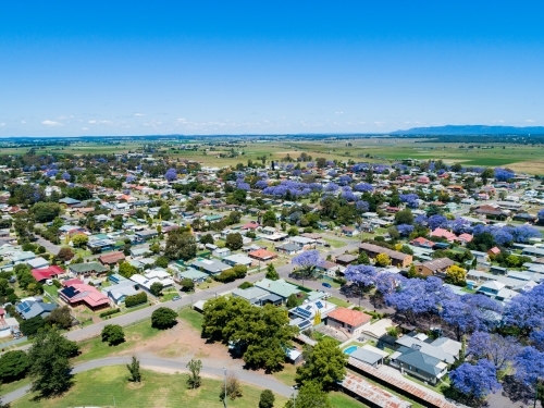 Spring in Singleton, aerial view of streets and brightly coloured flowering trees - Australian Stock Image