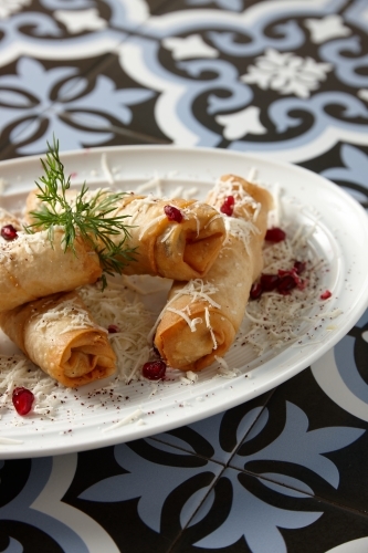 Spring rolls shredded with cheese - Australian Stock Image