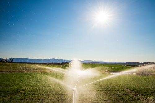 Sprinklers spraying water over a green field in Kalbar, Australia. - Australian Stock Image
