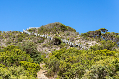 Stairs Ascending Prospect Hill, Kangaroo Island - Australian Stock Image