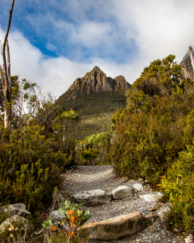 Stairs to Cradle Mountain - Australian Stock Image