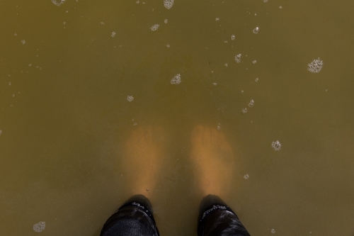 Standing in cloudy brown water - Australian Stock Image