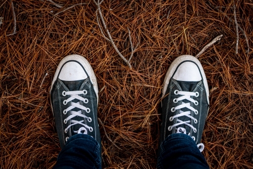 Standing in Old Sneakers on a Pile of Pine Needles - Australian Stock Image