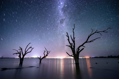 Star trails over ghostly trees rising from still waters in Lake Bonney - Australian Stock Image