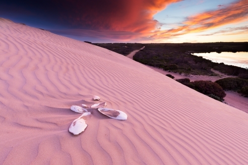 Steep rippled sand dunes with cuttlefish bone at sunset