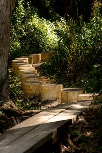stepping stones in the rainforest - Australian Stock Image