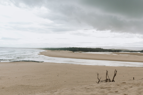 Sticks in beach landscape - Australian Stock Image