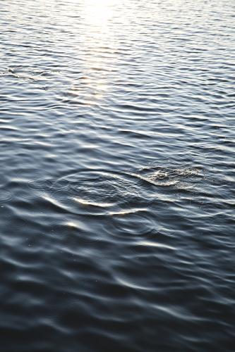 Still water and ripples of the snowy river estuary - Australian Stock Image