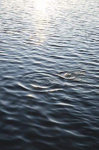 Still water and ripples of the snowy river estuary