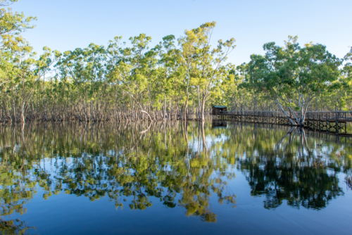 Still water reflecting river red gums and a timber boardwalk in a peaceful wetland forest - Australian Stock Image